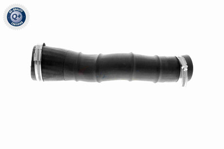 Charge Air Hose - V25-1034