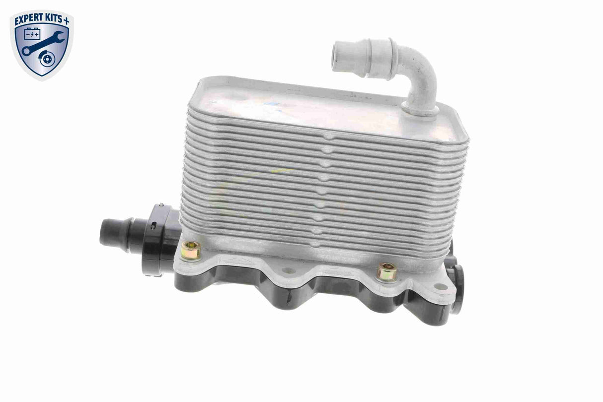 Oil Cooler, engine oil - V20-60-0046