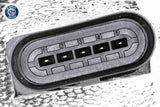 EGR Module - V10-63-0135