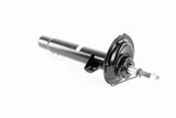 Shock Absorber - V20-2195
