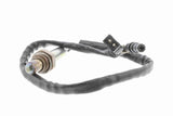 Oxygen Sensor - V30-76-0043
