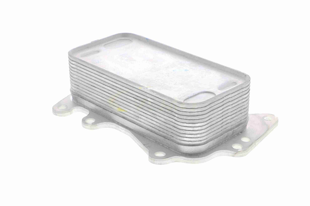 Oil Cooler, engine oil - V20-60-0041