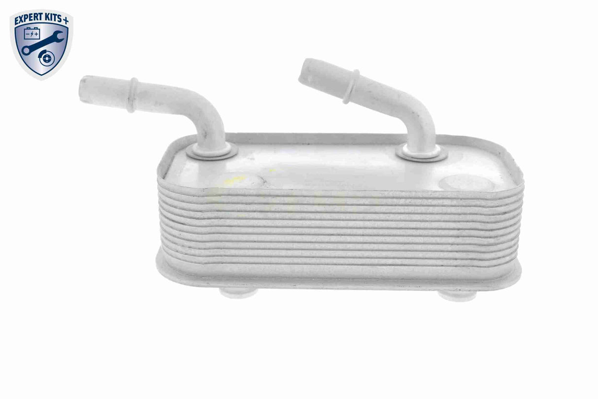 Oil Cooler, engine oil - V20-60-0002