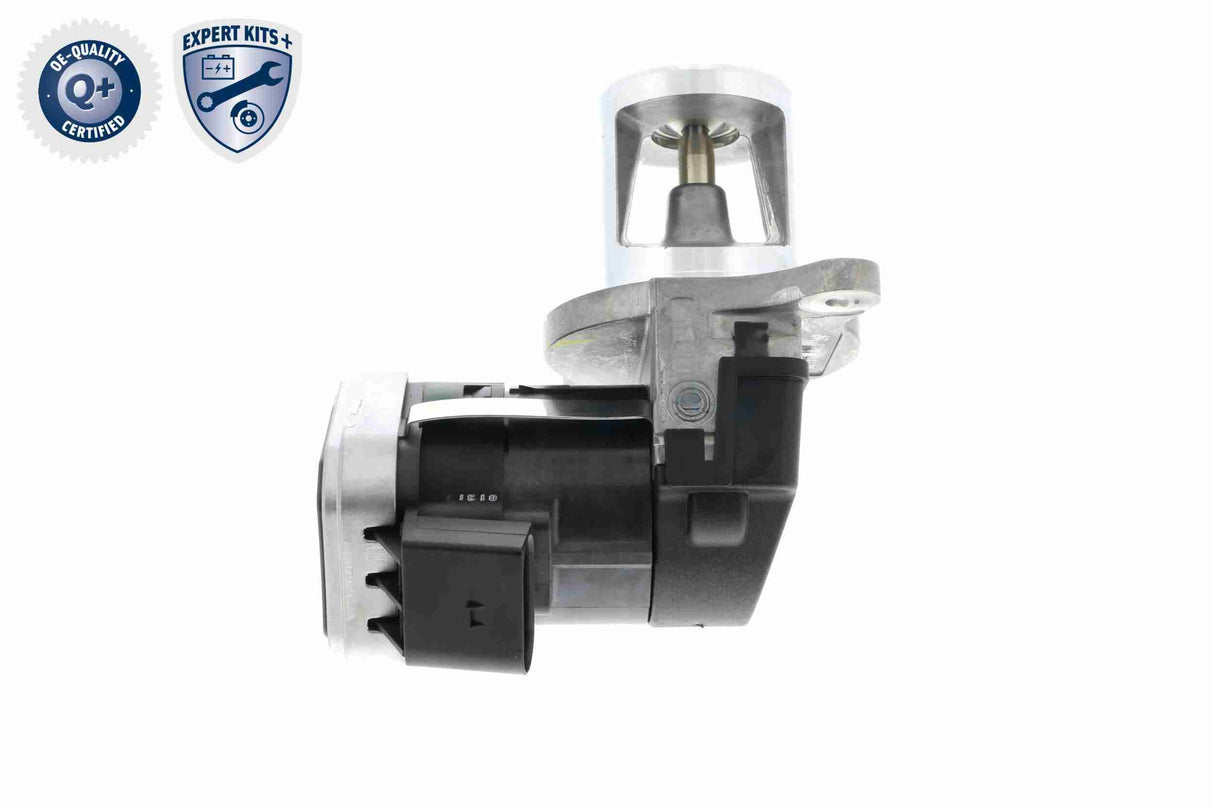 Valve, exhaust gas recirculation - V30-63-0033