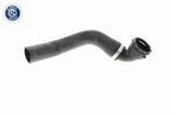 Radiator Hose - V48-0143