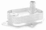 Oil Cooler, engine oil - V30-60-1339