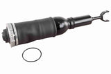 Air Suspension Strut - V10-50-0009