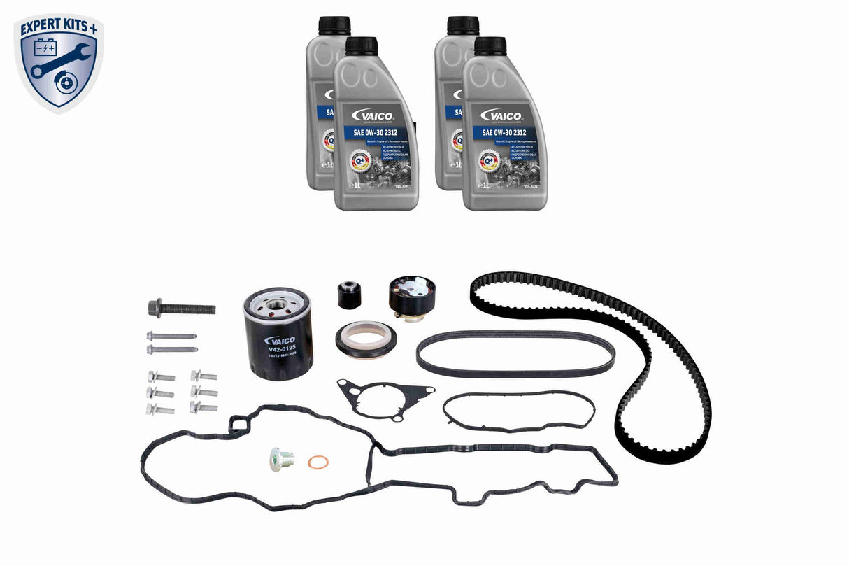 Timing Belt Kit - V22-0886