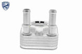 Oil Cooler, engine oil - V24-60-0021