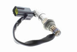 Oxygen Sensor - V51-76-0003
