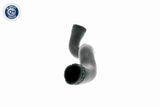 Charge Air Hose - V10-3141