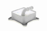 Oil Cooler, engine oil - V15-60-6062