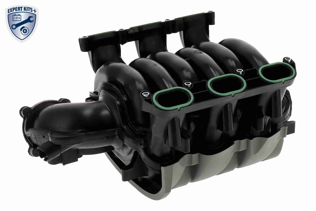 Intake Manifold Module - V10-6771