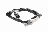 Oxygen Sensor - V22-76-0013
