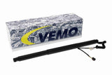 Electric Motor, tailgate - V10-55-0004