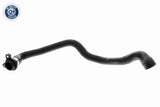 Radiator Hose - V20-2412