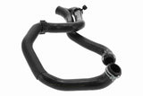 Radiator Hose - V10-000116