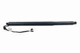 Electric Motor, tailgate - V10-55-0013