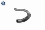 Charge Air Hose - V24-0679