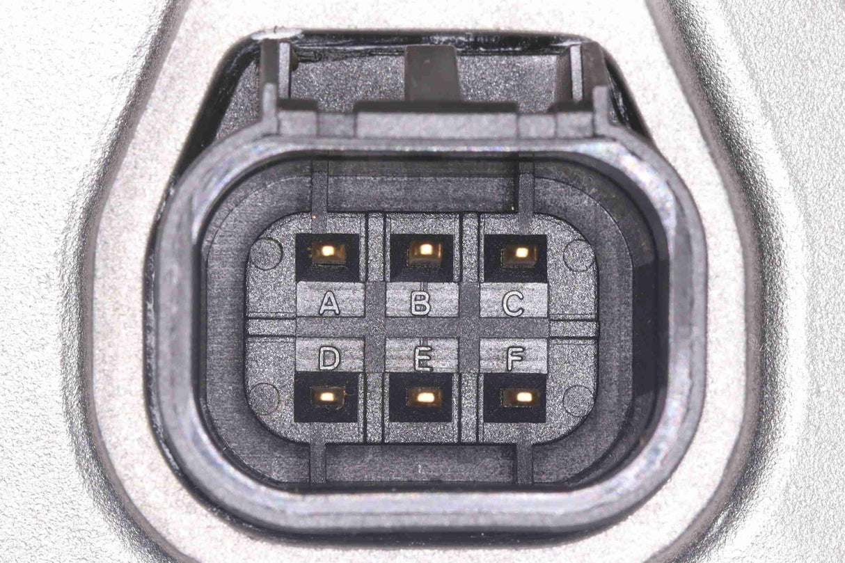 Throttle Body - V51-81-0018