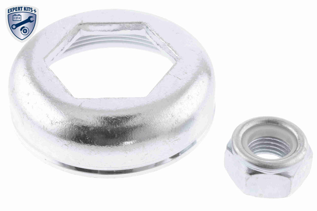 Shock Absorber - V10-1704