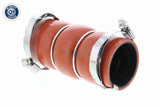 Charge Air Hose - V42-0583
