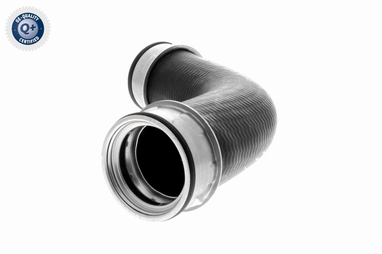 Charge Air Hose - V10-3801