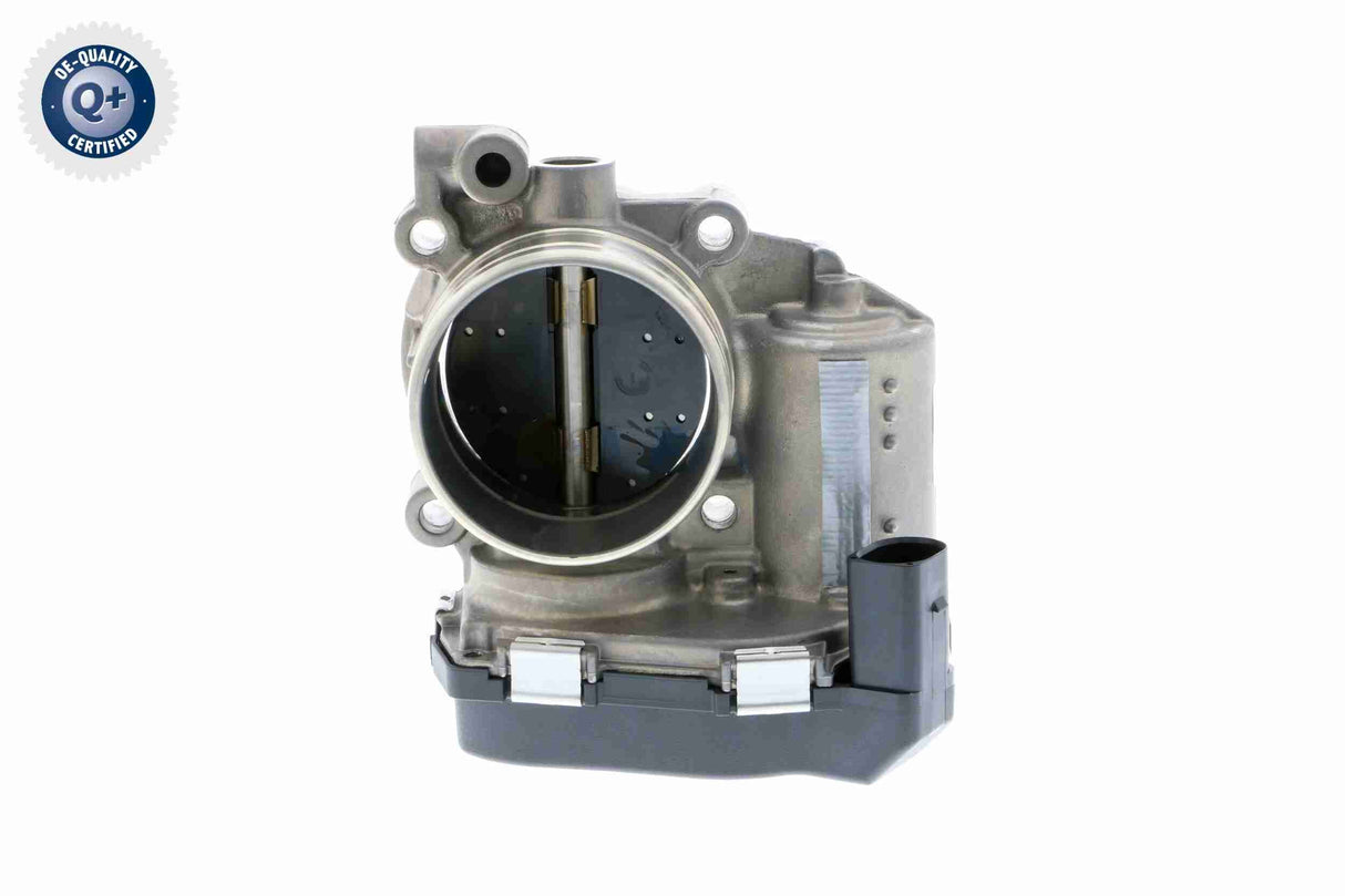 Throttle Body - V10-81-0043