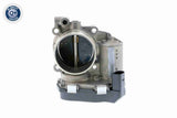 Throttle Body - V10-81-0043