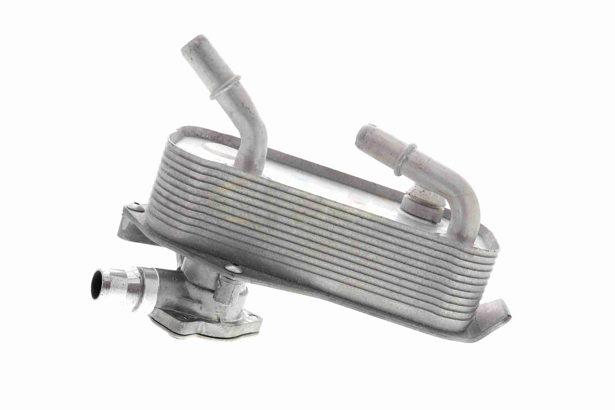Oil Cooler, automatic transmission - V20-60-1552