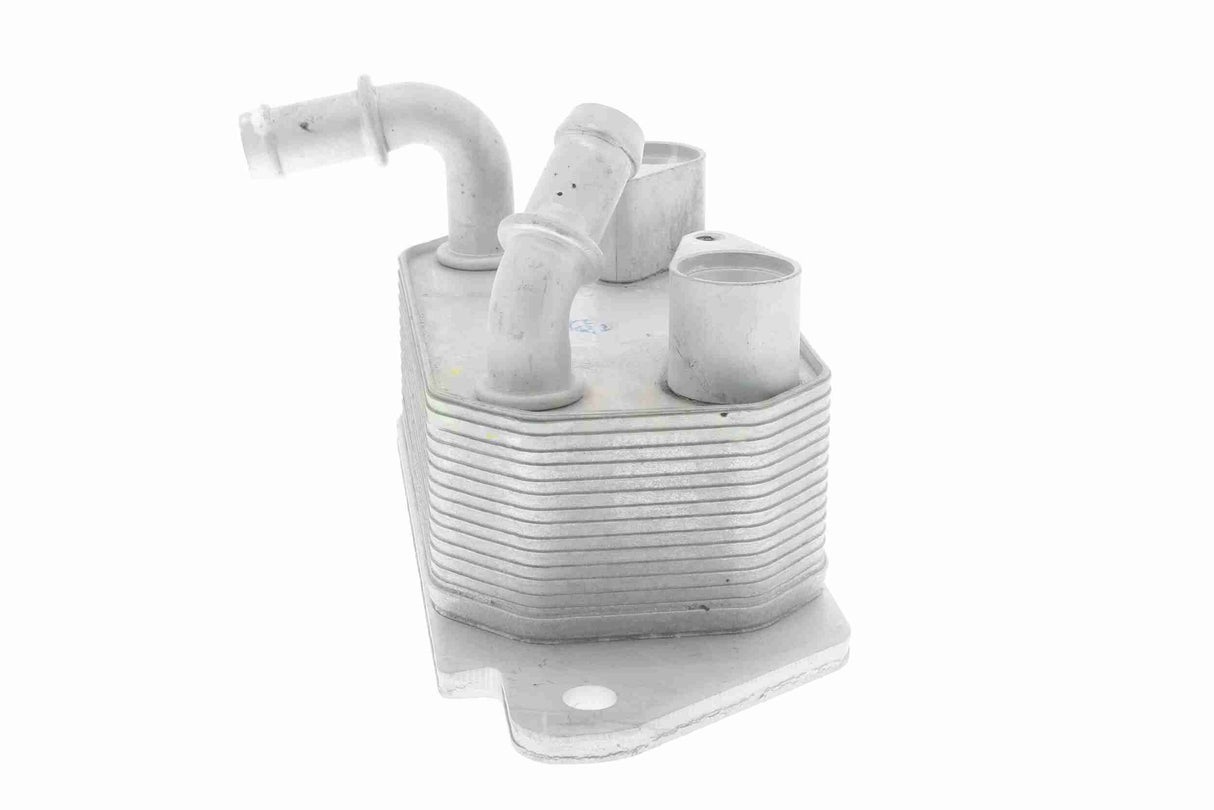 Oil Cooler, engine oil - V25-60-3022