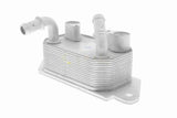 Oil Cooler, engine oil - V25-60-3022