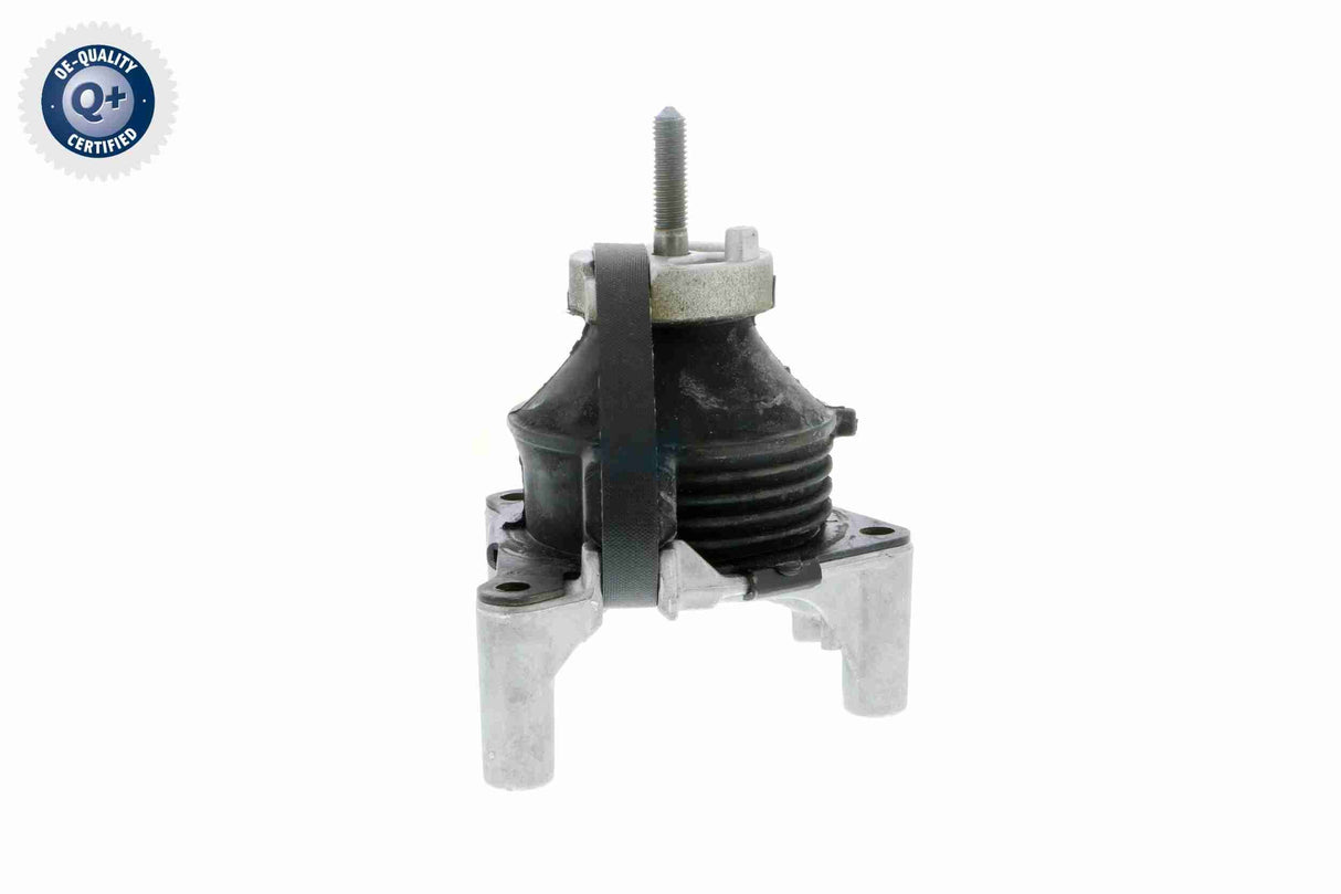 Mounting, engine - V50-0031
