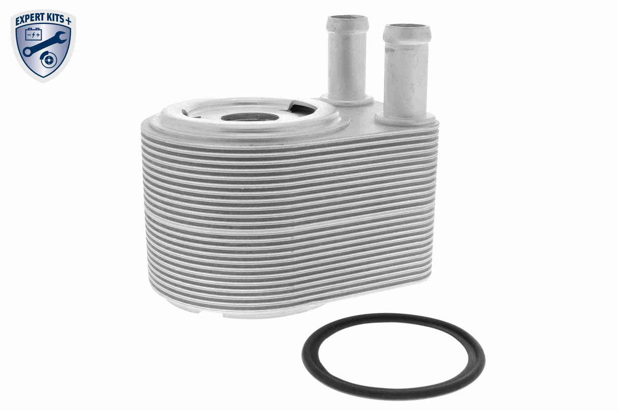 Oil Cooler, engine oil - V48-60-0028