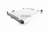 Radiator, engine cooling - V30-60-1216