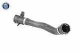 Radiator Hose - V20-3042