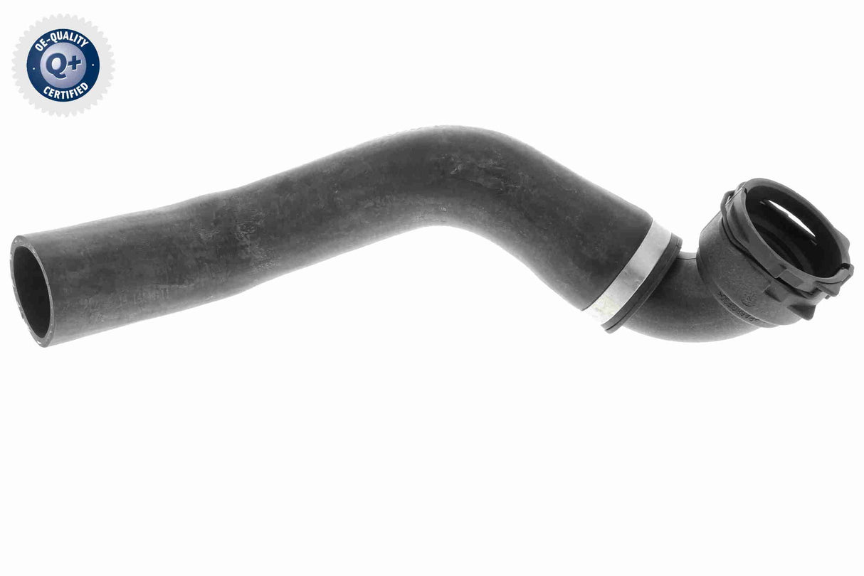 Radiator Hose - V48-0143