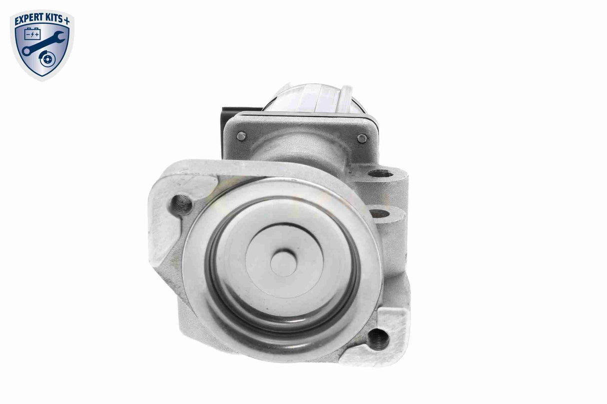 Valve, exhaust gas recirculation - V40-63-0064-1