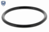 Thermostat Housing - V15-99-2031