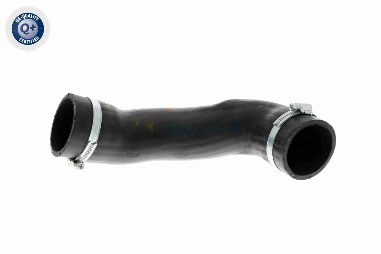 Charge Air Hose - V10-3805