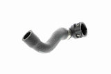 Radiator Hose - V20-1667