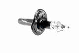 Shock Absorber - V42-0345