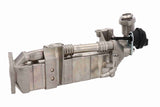 Cooler, exhaust gas recirculation - V20-63-0062
