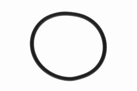 Fuel Pump - V10-0806