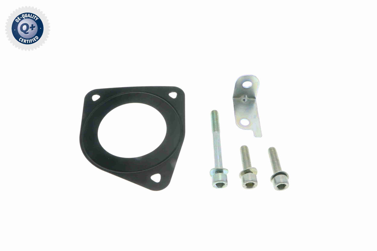 Throttle Body - V24-81-0007