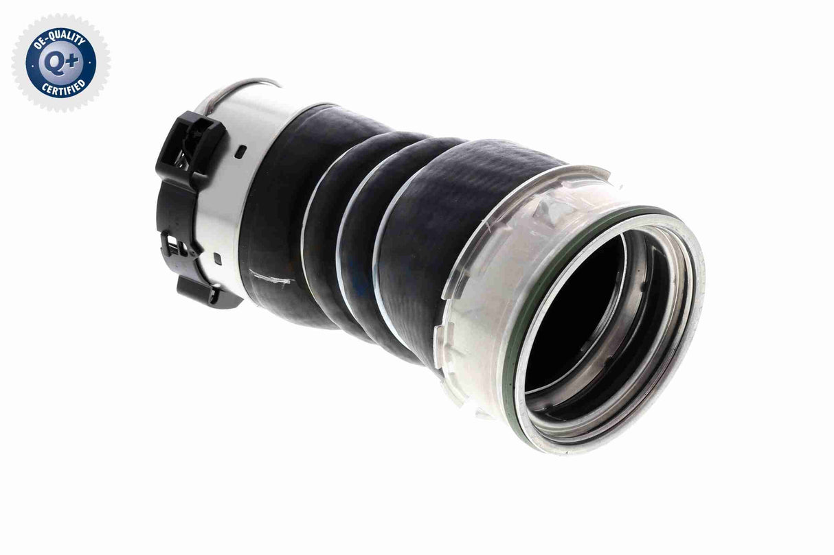 Charge Air Hose - V20-3656
