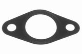 Gasket, EGR valve - V24-63-0015