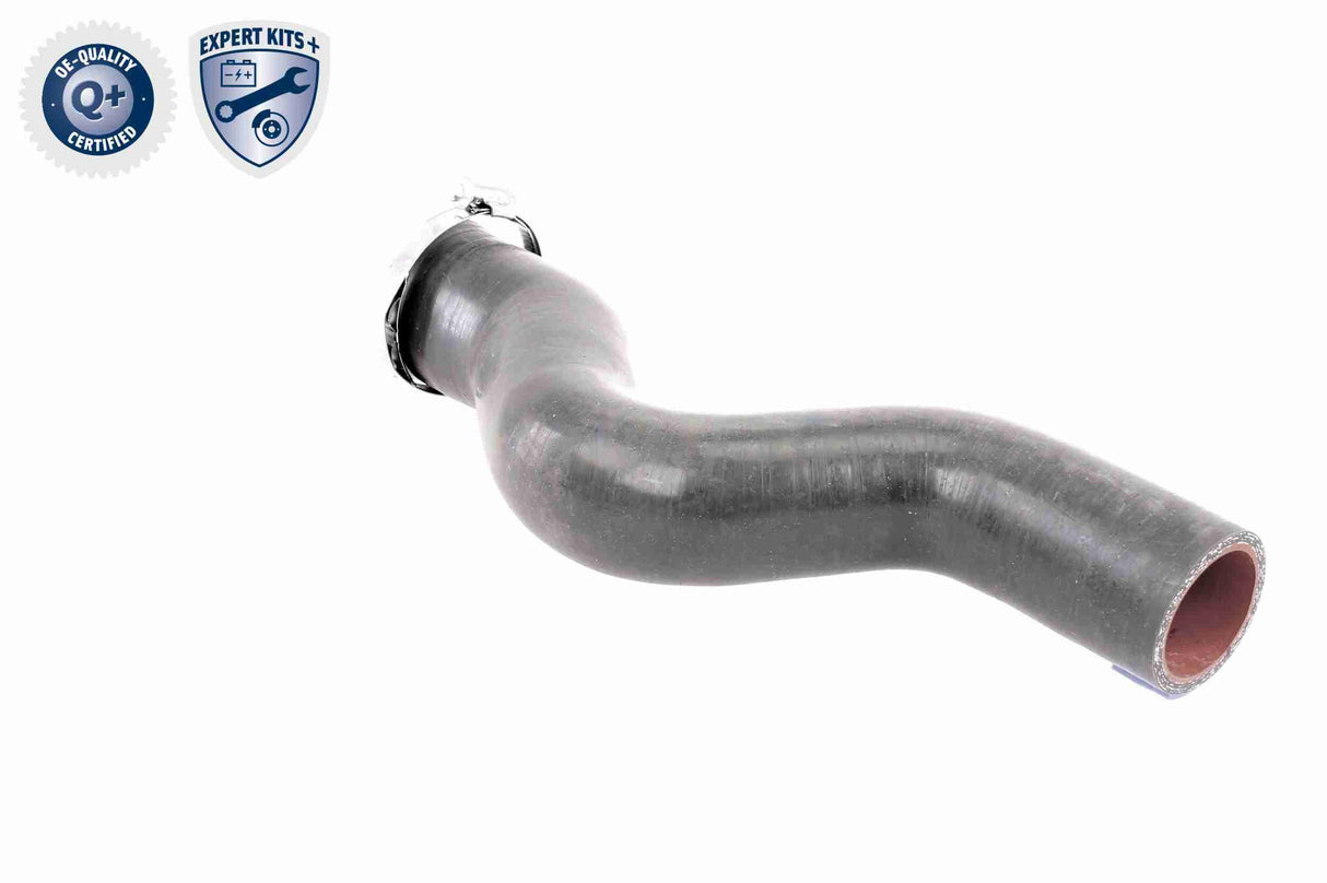 Charge Air Hose - V38-0488