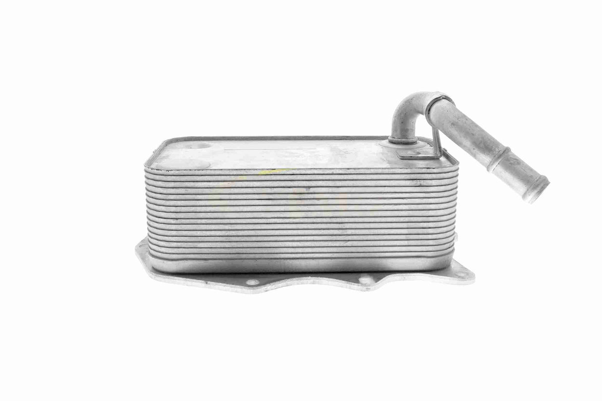 Oil Cooler, engine oil - V15-60-0008