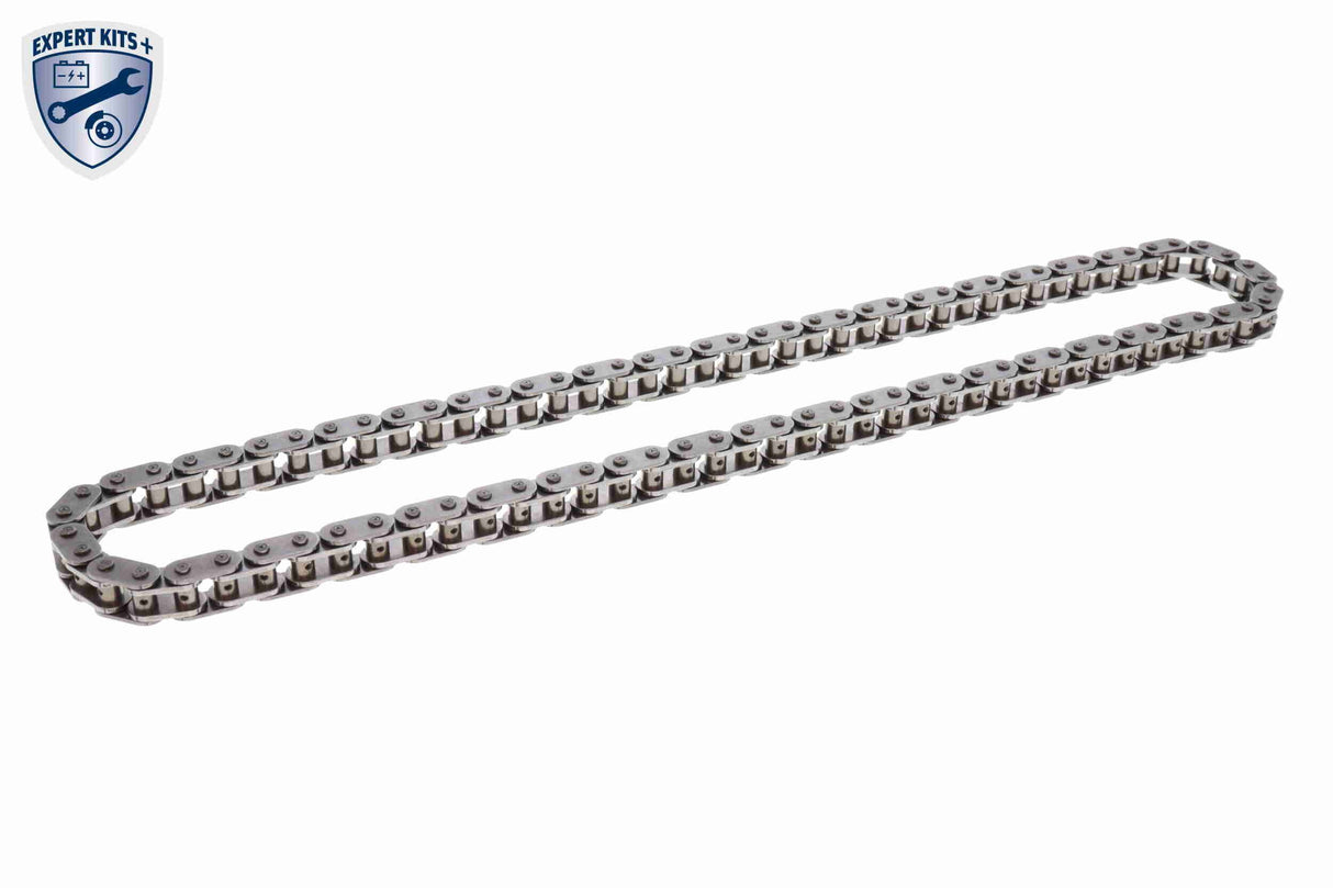 Timing Chain Kit - V20-10021-BEK